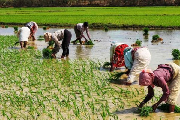 Sustainable Development Goals