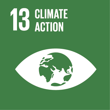 Sustainable Development Goals