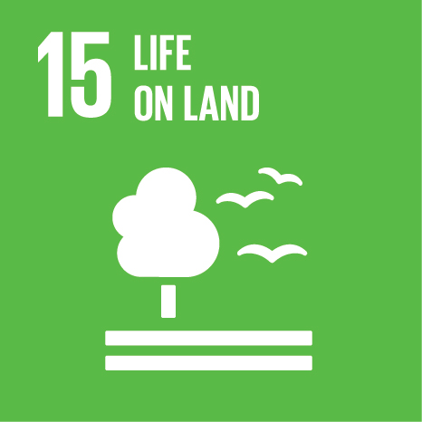 Sustainable Development Goals